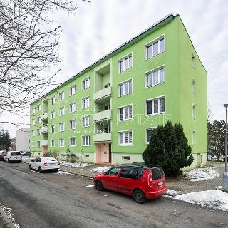 Prodej bytu 2+1 51 m² Planá, Smetanova