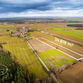 Prodej zemědělské půdy 24 618 m² Dolní Bukovsko, 