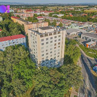 Pronájem bytu 3+1 72 m² Kroměříž, Velehradská