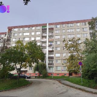 Pronájem bytu 3+1 69 m² Ostrava, Dolní