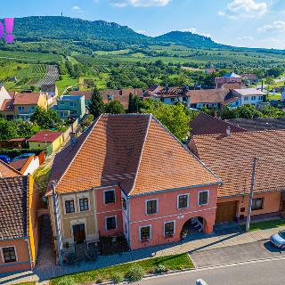 Prodej hotelu a penzionu 304 m² Dolní Věstonice, 