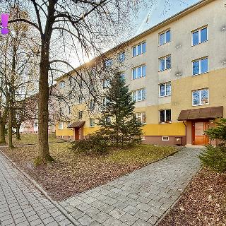 Prodej bytu 1+kk a garsoniéry 22 m² Havířov, Karvinská