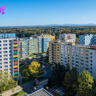 Pronájem bytu 3+1 70 m² Orlová, Adamusova