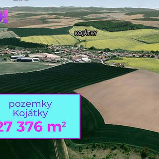 Prodej zemědělské půdy 27376 m&sup2; Kojátky