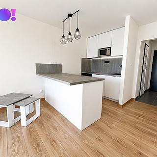 Pronájem bytu 1+kk, garsoniery 27 m&sup2; Ostrava