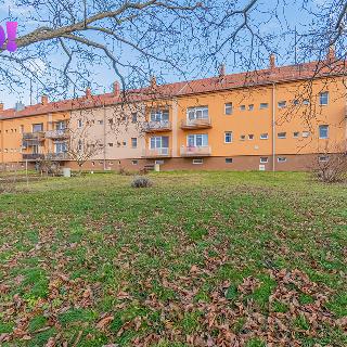 Prodej bytu 3+1 75 m² Kunovice, Novoveská