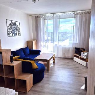 Pronájem bytu 1+1 40 m² Prostějov, Okružní