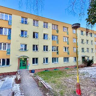 Prodej bytu 3+1 62 m² Havířov, 17. listopadu