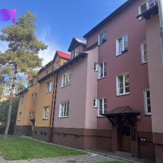 Pronájem bytu 2+1 50 m² Ostrava, Šídlovecká