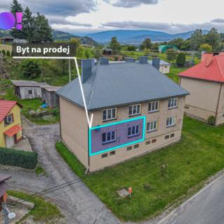 Prodej bytu 3+1 55 m&sup2; Hanušovice