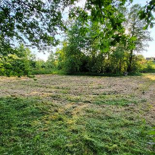 Prodej stavební parcely 1999 m² Ludgeřovice