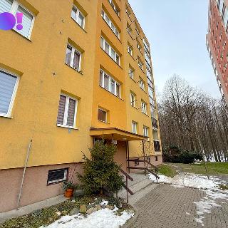 Prodej bytu 2+1 44 m² Havířov, Šípková