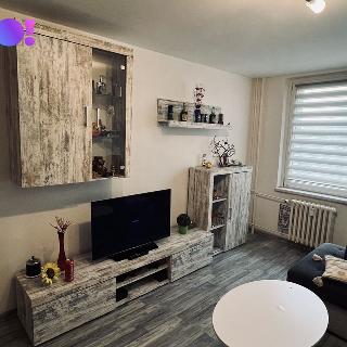 Prodej bytu 1+1 40 m² Bohumín