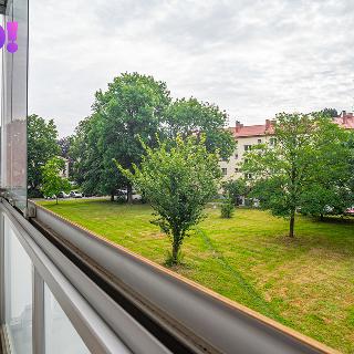 Pronájem bytu 2+kk 52 m² Ostrava, Krylovova