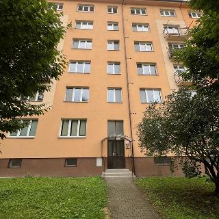 Prodej bytu 2+1 53 m² Ostrava, Panelová