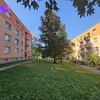 Prodej bytu 2+1 54 m² Kopřivnice, Pod Bílou horou