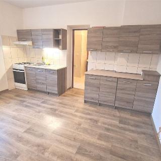 Pronájem bytu 2+kk 48 m² Spálené Poříčí