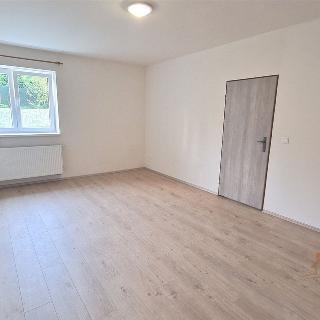 Pronájem bytu 2+kk 48 m² Spálené Poříčí