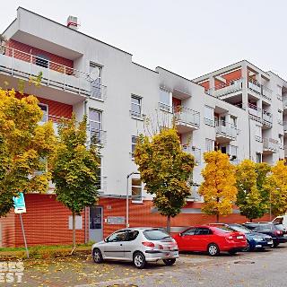 Pronájem bytu 2+kk 62 m² Hradec Králové, Rybova