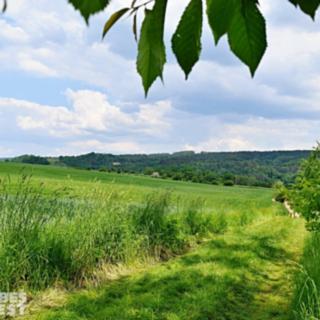 Prodej stavební parcely 1 515 m² Dlouhá Loučka
