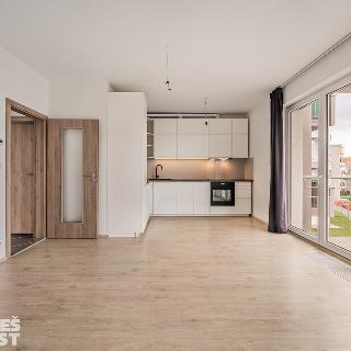 Prodej bytu 3+kk 74 m² Praha, Hlučkova