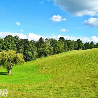 Prodej stavební parcely 5 229 m² Hnátnice, 