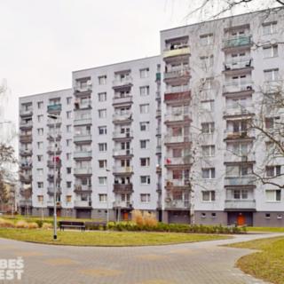Pronájem bytu 3+1 62 m² Pardubice, Na Drážce