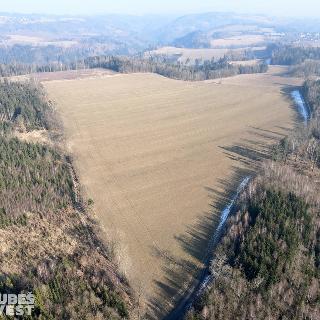 Prodej zemědělské půdy 26884 m² Provodov-Šonov