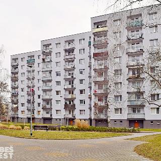 Prodej bytu 3+1 62 m² Pardubice, Na Drážce