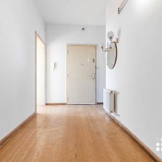 Prodej bytu 3+1 86 m² Opava, Horní náměstí