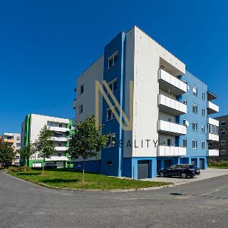 Pronájem bytu 1+kk a garsoniéry 50 m² Klatovy, K Čínovu