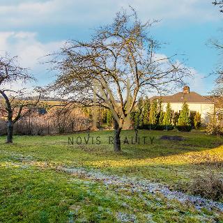 Prodej stavební parcely 876 m² Plánice, Nepomucká