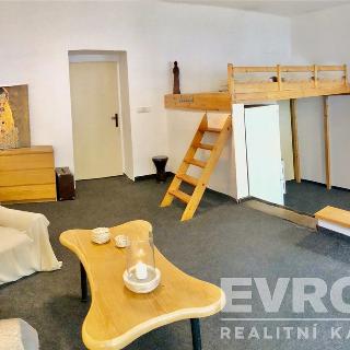 Pronájem bytu 1+kk a garsoniéry 47 m² Praha, Biskupcova