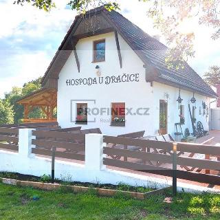 Pronájem restaurace 150 m² Suchdol nad Lužnicí