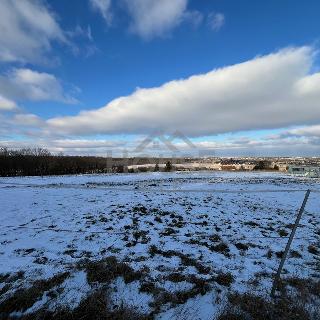 Prodej stavební parcely 5797 m² Mezouň