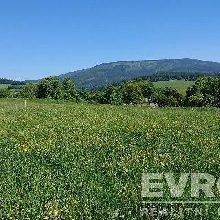 Prodej stavební parcely 1 200 m² Černý Důl