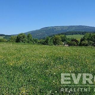 Prodej stavební parcely 1 314 m² Černý Důl