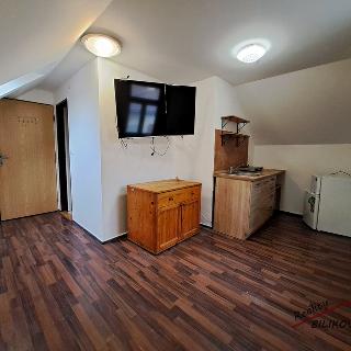 Pronájem bytu 1+kk, garsoniery 15 m² Neratovice