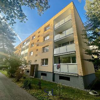 Pronájem bytu 3+1 70 m² Česká Lípa, Střelnice