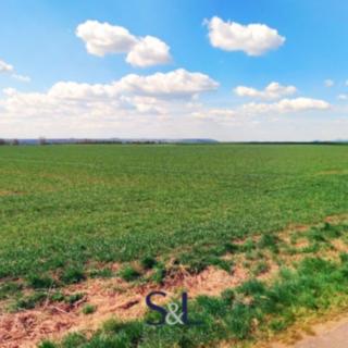 Prodej zemědělské půdy 45702 m&sup2; Budyně nad Ohří