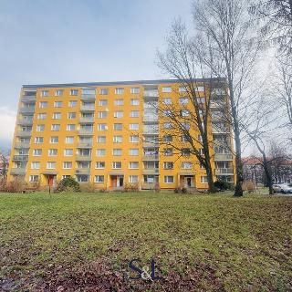 Pronájem bytu 1+kk a garsoniéry 23 m² Liberec, Oldřichova