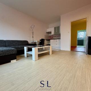 Pronájem bytu 1+1 41 m² Nový Bor, Husova