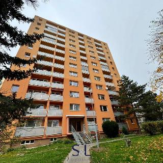 Pronájem bytu 1+1 39 m² Česká Lípa, Okružní