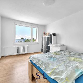 Prodej bytu 1+1 34 m² Nový Bor, Palackého