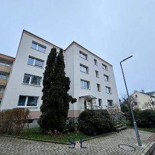 Pronájem bytu 1+1 38 m² Nový Bor, Alšova