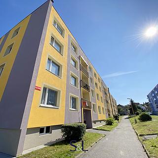 Pronájem bytu 1+1 34 m&sup2; Nový Bor