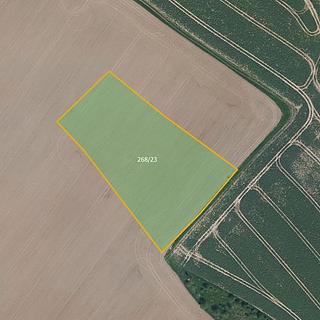 Prodej zemědělské půdy 16086 m² Mukařov