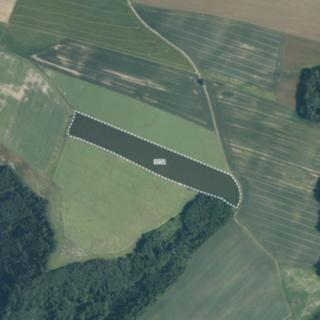 Prodej zemědělské půdy 42 060 m² Jindřichov