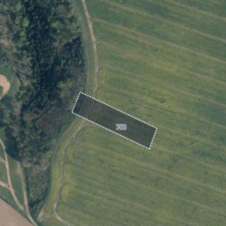 Prodej zemědělské půdy 5954 m² Mělnické Vtelno