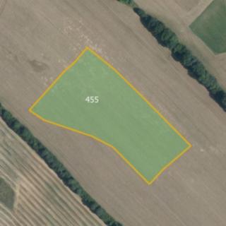 Prodej zemědělské půdy 12 329 m² Zborov